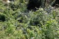 2010 07 13 jeanmarcperfetti.com 023.JPG